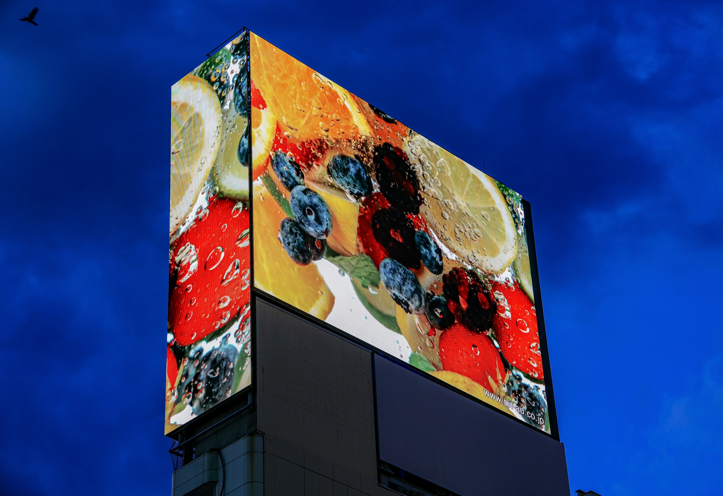Digital Billboard Display